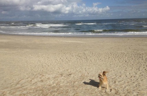 Wangerooge Apartamento | Seehund