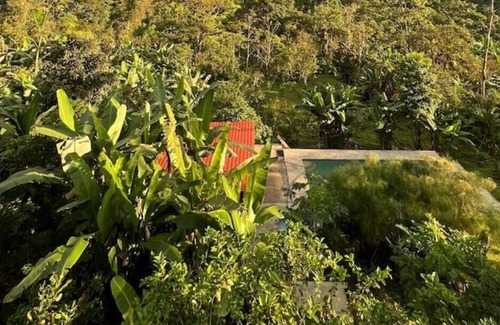 San Miguel Casa | Seiba lodge