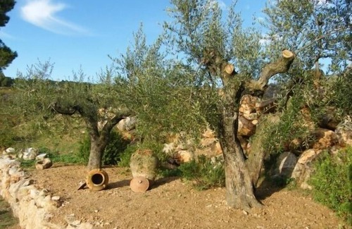 Torrelles de Foix Cabaña | Casa rural (alquiler íntegro) Can Cruset Agroturisme para 4 personas