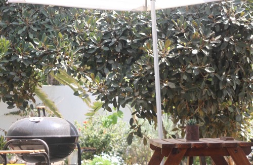 Vineta Apartamento | cocina, jardín plano