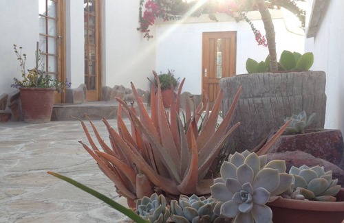 Vineta Apartamento | cocina, jardín plano