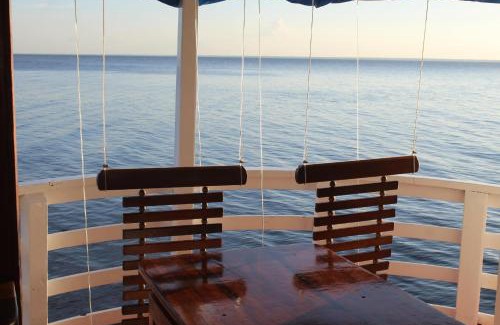 Alter do Chao Alquiler De Eote | Selvagem Tours