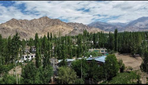 Leh Casa | Semskit Guest House