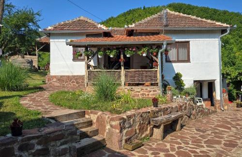 Stara Planina Casa | Seosko domaćinstvo „GABAR”