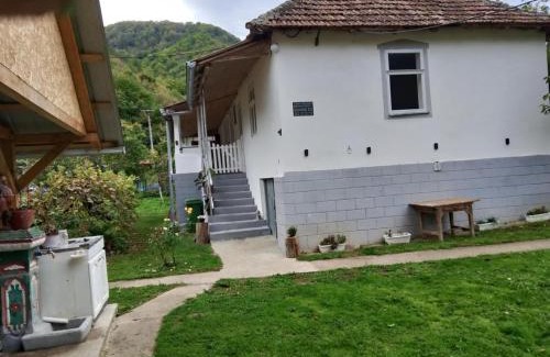 Central Serbia Apartamento | Seosko turisticko domacinstvo Milanovic