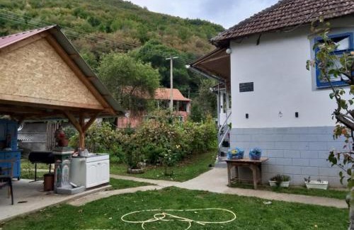 Central Serbia Apartamento | Seosko turisticko domacinstvo Milanovic