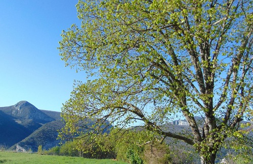 Rougon Casa | Casa de personajes en un nivel frente al gran cañón de Verdon, bien equipado
