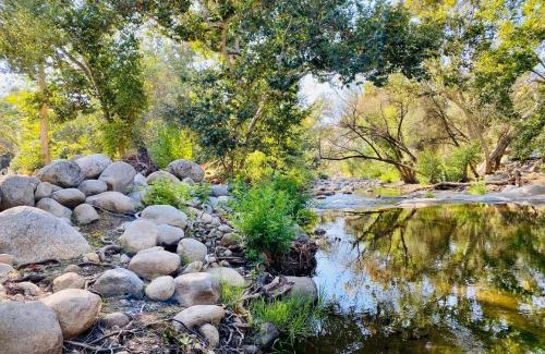 Three Rivers Casa | Sequoia Cabin by the River