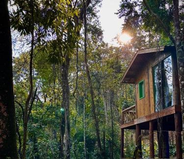 Bueno Brandao Cabina | Sequoia Casa na Árvore, Vila Mágica