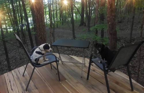 Grandview Cabina | Serene 7 Tree glamping site a romantic forest getaway