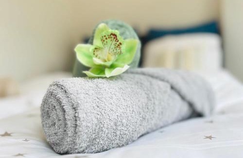 Olten Apartamento | Serene Stay