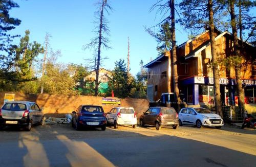 Srinagar Cabina | Serene Stay Villa by Doctors