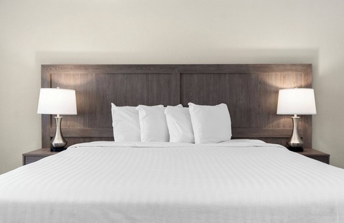 Las Vegas Hotel | Serene Vegas Boutique Hotel Las Vegas