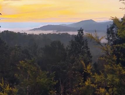 Stuart Hill Casa | Serene Woods