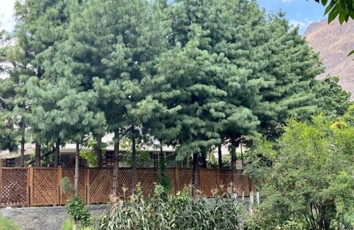 Islamabad Casa | Serenity Guesthouse Gilgit