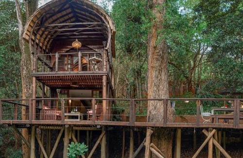 Buffelspruit Cabina | Serenity Mountain and Forest Lodge