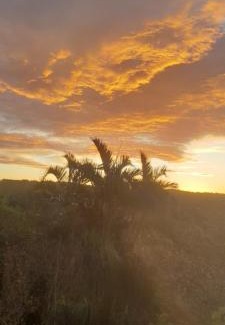 Westville Cama Y Desayuno | Serenity Place B&B and Conference, wedding venue