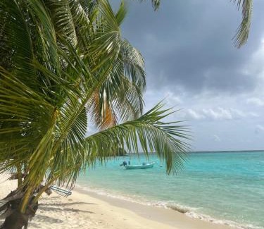 Mathiveri Hotel | Serenity reef Maldives