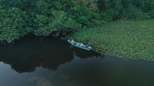 Careiro Hotel | Seringal jungle Lodge