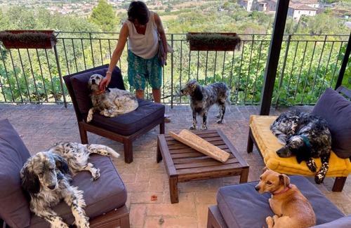 Trevi Casa | SetterHouseAgriHotel