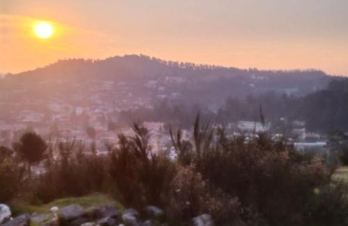 Ooty Apartamento | Seven Endue Delight with Mountain view on the Hill Top