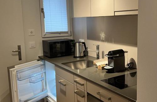 District 6 Apartamento | Seven Swiss Wonders, City Center