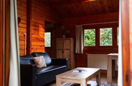 Epe Casa | Sfeervol houten huisje met omheinde tuin op de Veluwe