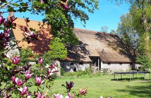 Wateren Apartamento | Sfeervolle vakantiewoning midden in het Drents-Friese Wold