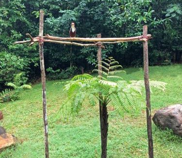 Kithulgala Otro | Shadow Grove Camping & Cabins Kitulgala