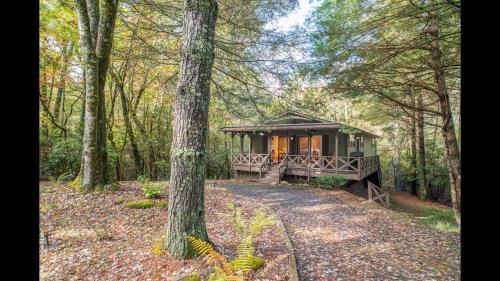 Brevard Casa | Shady Creek Cabin