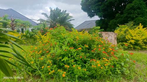 Malindi Apartamento | Shalom Wellspring Cottage