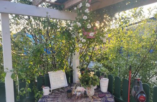 Labasheeda Otro | Shannon Estuary Glamping