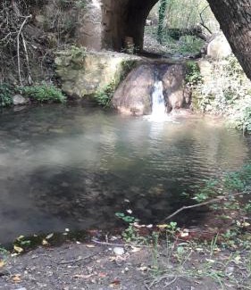 San Esteban Casa | Shanti