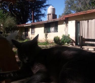 San Esteban Casa | Shanti