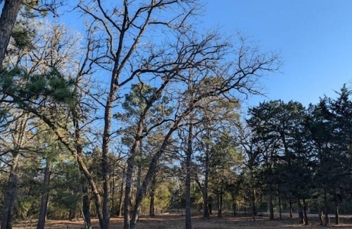 Smithville Cabaña | Shanti Cottage in the Lost Pines