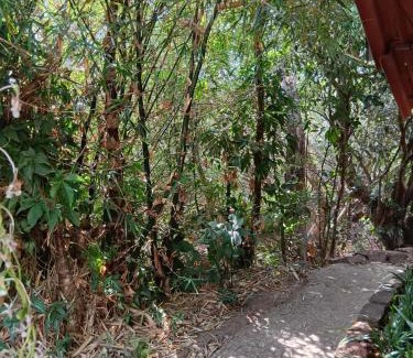 Amboli Cama Y Desayuno | Shantidarshan Homestay