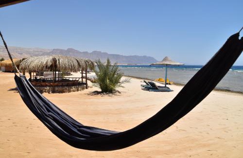 Nuweiba Hotel | Shanty beach camp suer
