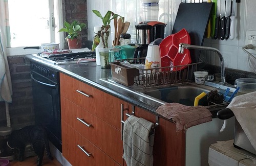 Coyoacan Apartamento | Habitación compartida para viajeros gay hombres.