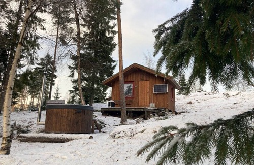 Levanger Cabina | Sharming cabin in the woods, close to lake