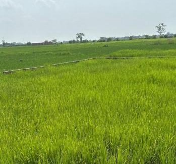 Chandauli Otro | Shashank Infra Dream's