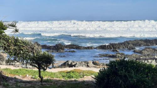 Kini Bay Casa | Shells on the Beach