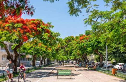 Tel Aviv City Center Apartamento | Shenkin Street 2BR Rooftop Penthouse