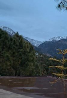Palampur Casa | Shephard cheminèe