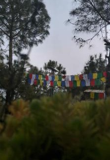 Palampur Casa | Shephard cheminèe