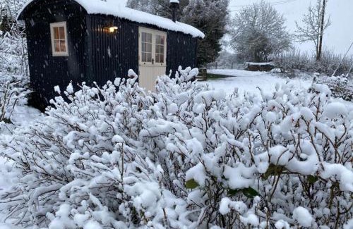 Crawcrook Casa | shepherd hut glamping in Northumberland
