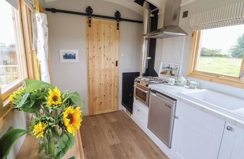 Adlingfleet Cabaña | Shepherds Hut