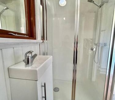 Cowbridge Chalet De Esquí | Shepherds Hut in enclosed field