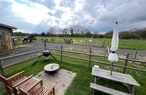 Westbourne Casa | Shepherds hut with Alpaca views