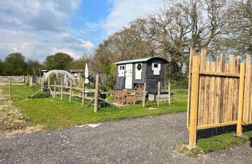 Westbourne Casa | Shepherds hut with Alpaca views