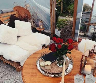 Westbourne Casa | Shepherds hut with Alpaca views